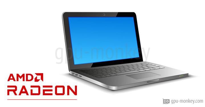 AMD Radeon RX 6800M